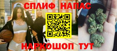 индика Пушкино