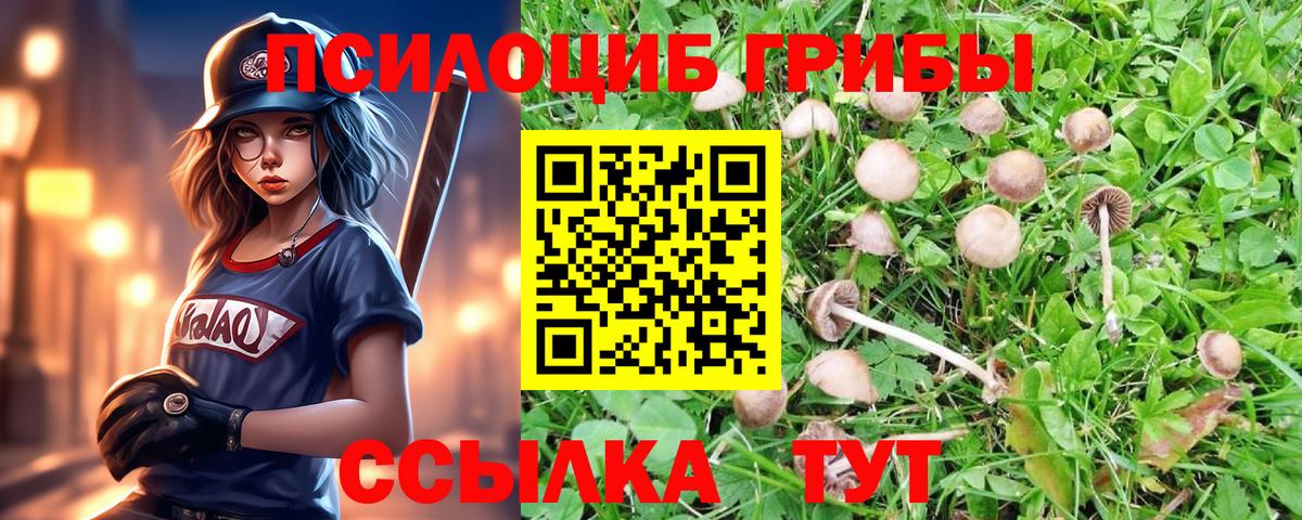 Таганрог  Галлюциногенные грибы Psilocybine cubensis  Вход с VPN 