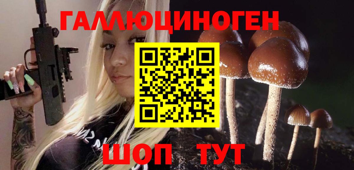 Псилоцибиновые грибы мицелий Таганрог